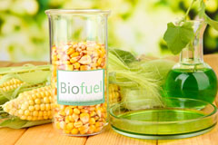 Newtonia biofuel availability